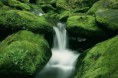 /album/fotogaleria-nosotros/natura-17-jpg/